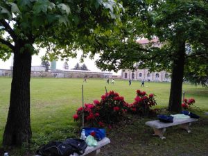 IMG-20190504-WA0049