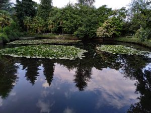 IMG-20190613-WA0018
