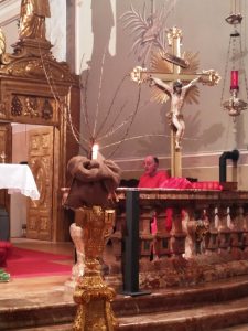 IMG_20191218_205523